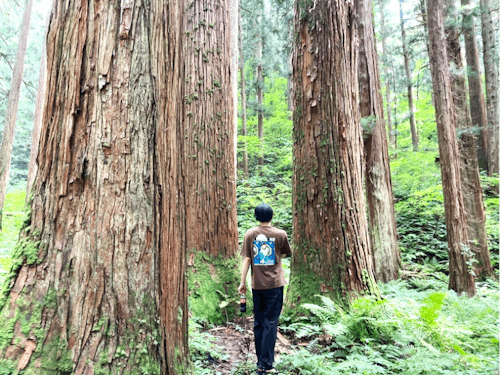 やりたいことに挑戦できる場所、山形県