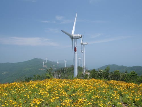 瀬戸風の丘パーク(観光振興)