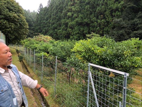 地区の方の想いが詰まっています。お手伝いお待ちしています!