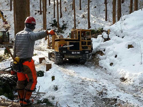 冬でも雪の中、運んだり。