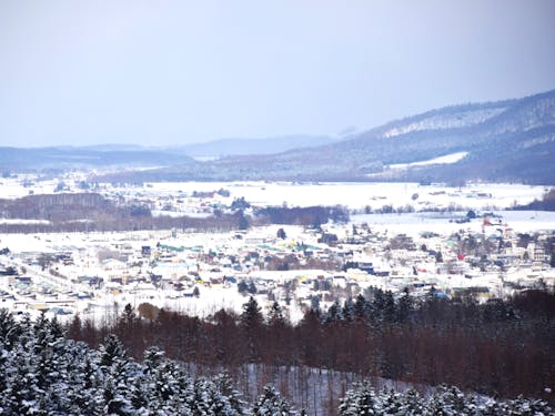 広大な自然に包まれる下川町