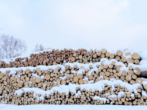 持続可能な暮らしについても触れます。