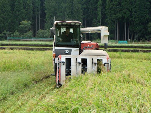 山田さんは広大な土地を耕す米農家。