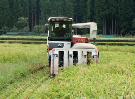 山田さんは広大な土地を耕す米農家。