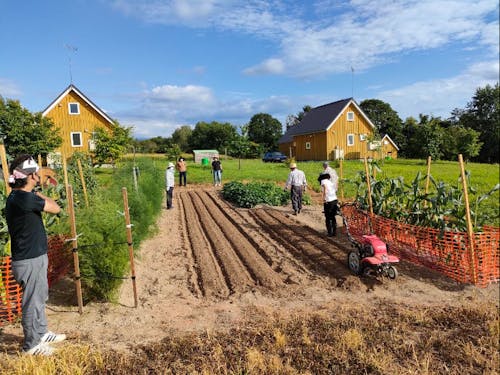 みんなで野菜収穫体験♬
