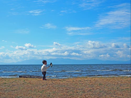 湖の森市会場から見えるびわ湖