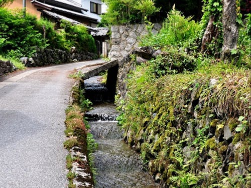 集落内を流れる小川
