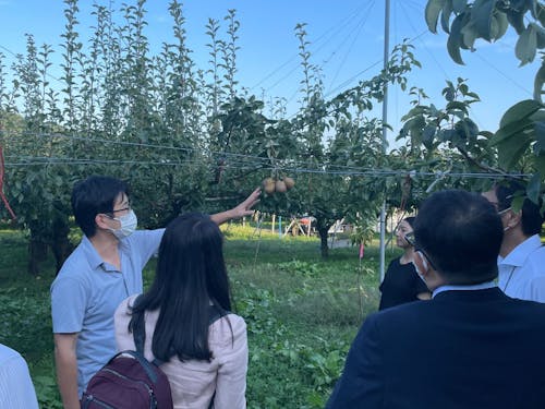 果樹農家さんの園地の見学