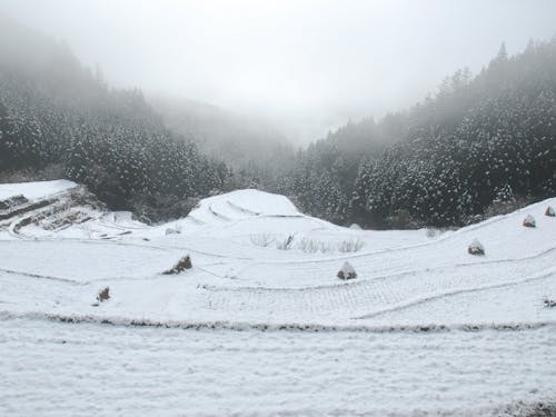 棚田の雪化粧が見れるのは住んでいる人の特権です
