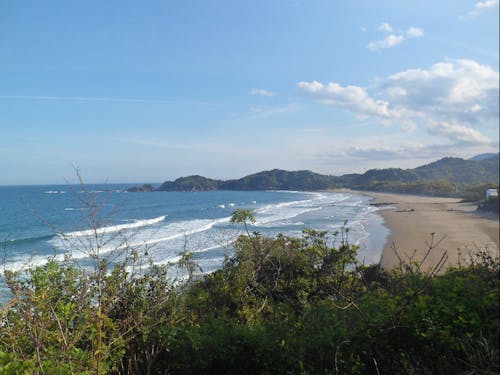 農園の目の前にはビーチが!サーフィン三昧も夢じゃない!