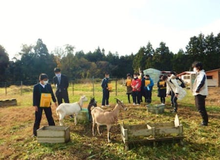 市内の学校でのSDGs学習（生き物と共生する農場の見学）