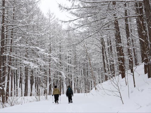 静かな森の中に自分自身を見つめ直す時間