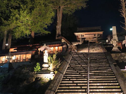 普段は見られない石仏(階段左)もライトアップされます