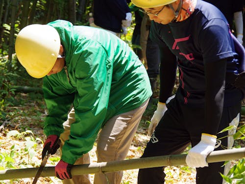 荒廃する竹林の整備体験