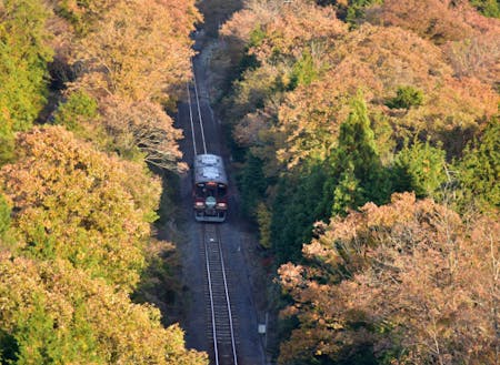 紅葉の中を走る信楽高原鐵道