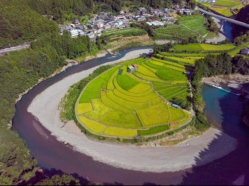 農業にも挑戦できる!