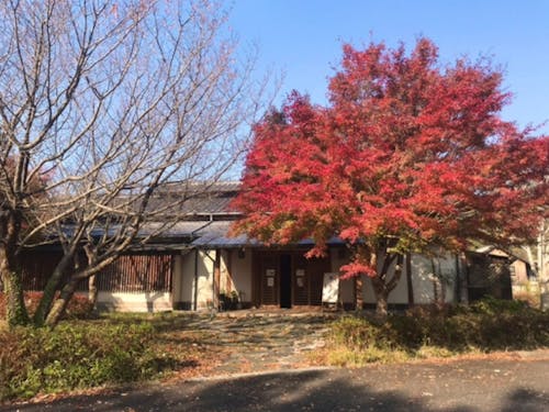 Café Brass(カフェ ブラス)