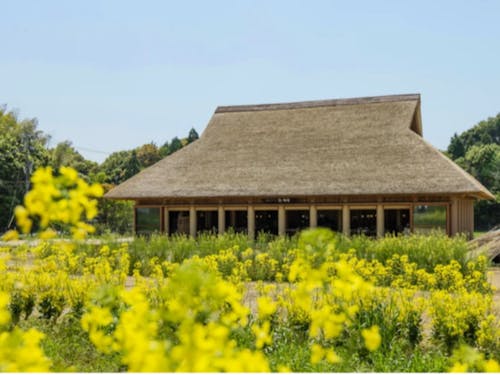 ランチ予定の農家レストラン陽・燦燦