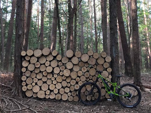 アルバイトのかたわら薪をゲットできる、かも?!
