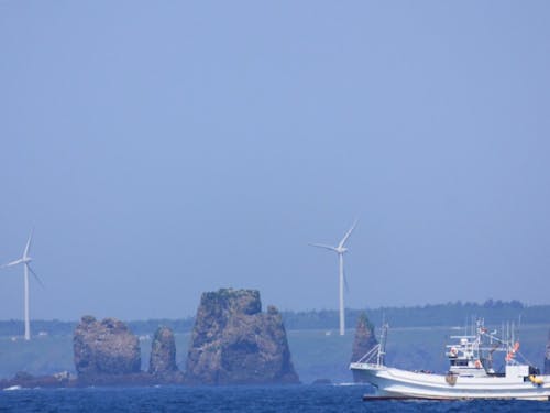 ネイチャークルーズで自然と触れ合う体験も♪