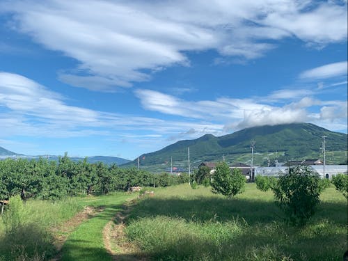 日常の景色でも圧巻です