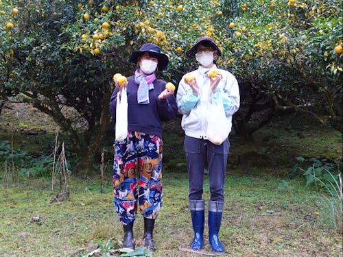 ゆずには鋭い棘があるので、対策は万全に。