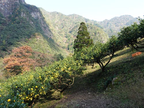 山間の絶景の中での作業です!