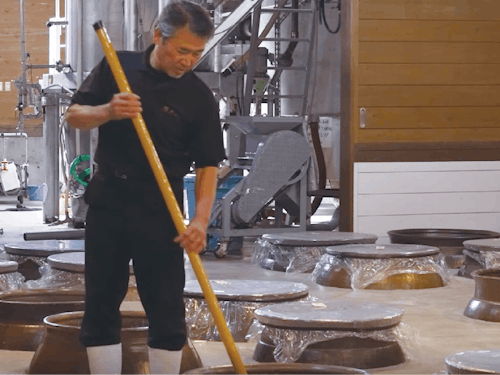 仕込み中の内嶋杜氏