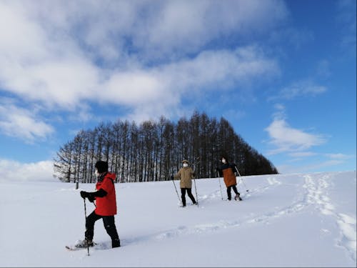 冬の遊び スノーシュー体験