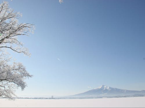 美しい一面の銀世界が超身近に…!カメラをお忘れなく…!