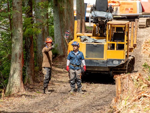 森からの搬出も行います