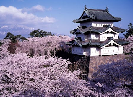 四季がはっきり分かれている津軽地方では、多くの芸術家・文豪を輩出している