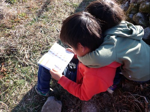 「おにいちゃん、あの鳥なあに?」今日は、野鳥図鑑と双眼鏡もって野鳥の観察。