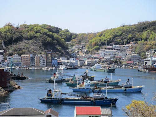 石材運搬を主とした海運業が盛んな家島の港には、石材運搬船(ガット船)が並んでいます。