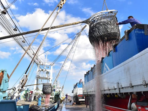 水揚げ量12年連続日本一を誇る銚子漁港