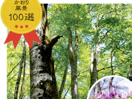 「三百選の里」①水源の森 ②かおり風景 ③残したい日本の音