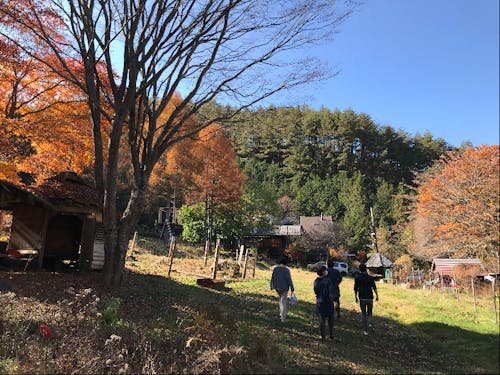 たまには山の中のレストランへ一緒にランチしにいくことも