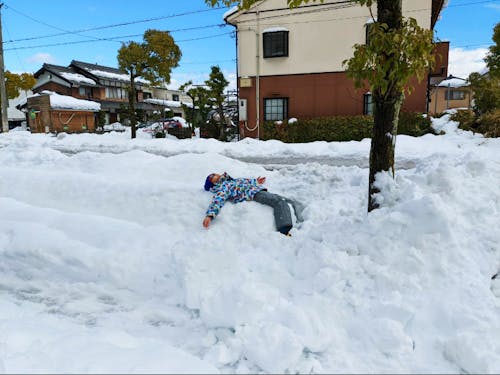 今年は雪がありません
