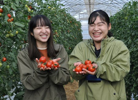 園芸カレッジの研修生は自ら栽培、収穫、出荷まで実践しています！