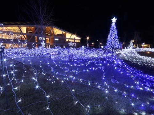 スターダーストページェント 海ぼたる