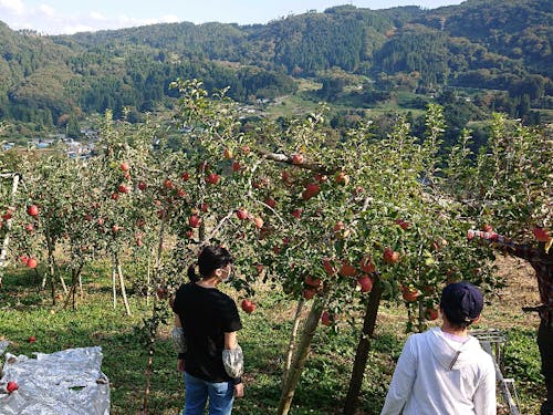 地域資産と課題、美しさをまずは体験し感じ知ることから