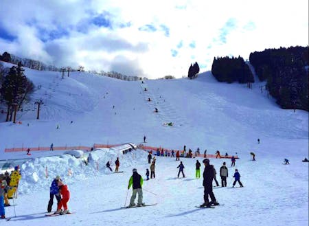 養父市の冬は、スキー場がおすすめ♪