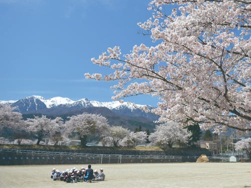飯島小学校校庭から中央アルプスを望む
