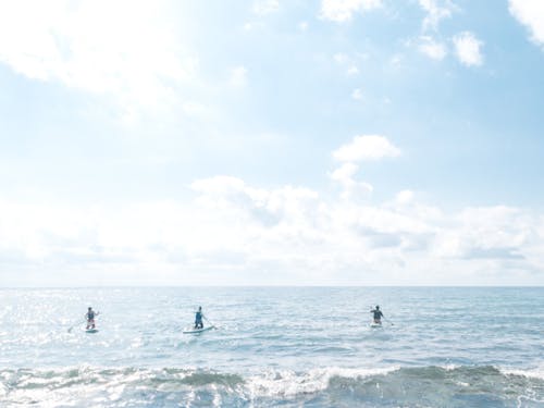 熊石の海でSUPをする様子。