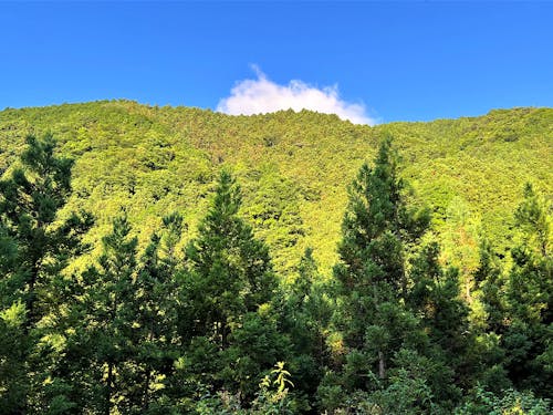 長門の美しい山