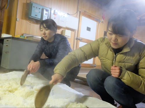 蒸したての米に麹菌を混ぜ合わせます。