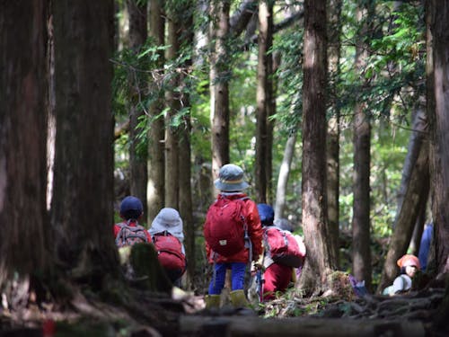 森のようちえん