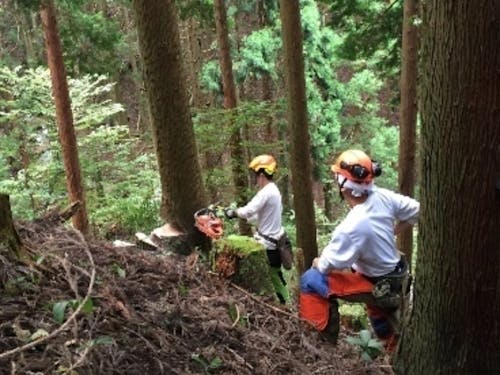 林業の作業風景