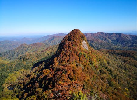 秋田との県境をまたぐ甑山の麓にはブナの二次林も広がっています