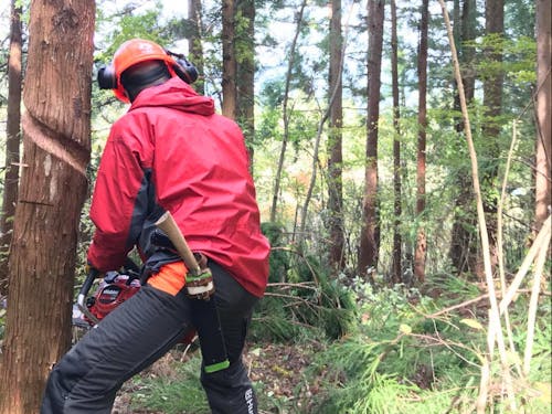 みなかみ町で有名な、森林を保全するための自伐型林業の様子🌲